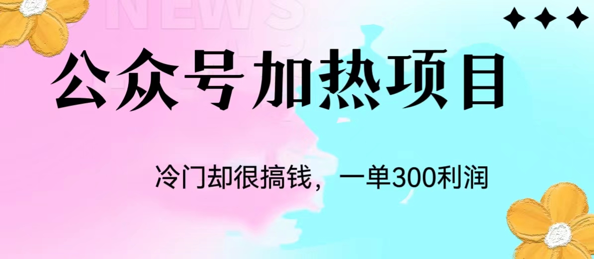 冷门公众号加热项目，每天1-2小时，一单100-300+网赚项目-副业赚钱-互联网创业-资源整合极光网赚