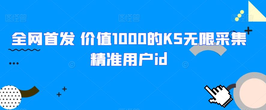 全网首发 价值1000的KS无限采集精准用户id网赚项目-副业赚钱-互联网创业-资源整合极光网赚